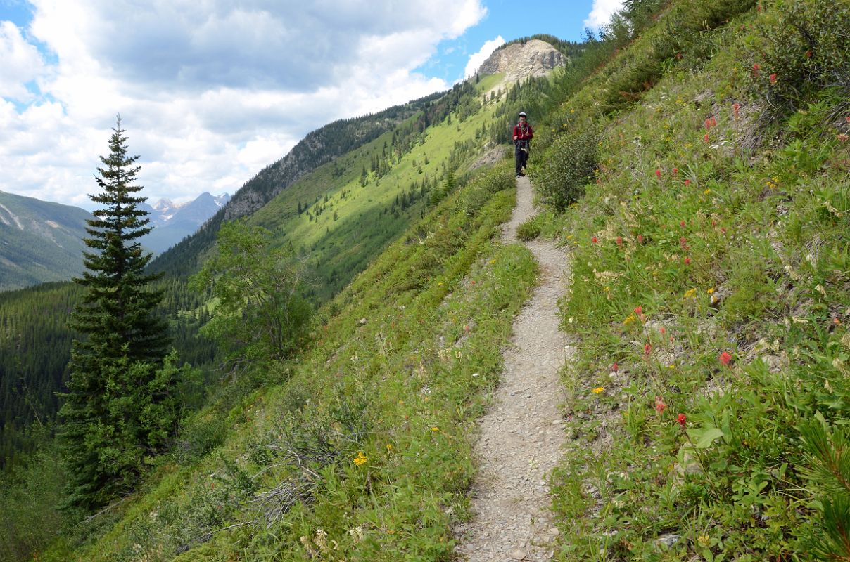 26 Contouring Around Ridge On Descent From Citadel Pass On Hike To Mount Assiniboine